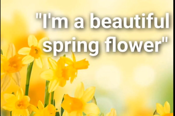 Англійський розмовний клуб