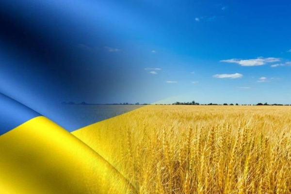 Флешмоб до дня Незалежності України