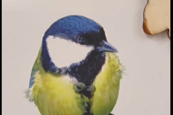 Урок присвячений Дню синички.