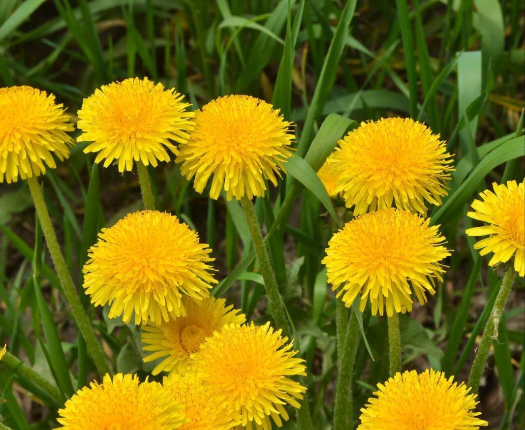 0 02 05 1f49ba23a39b0a789abf3d551cc7617d5fe0b1c49aaacdabe9972e67535453ee 21f23197c5e