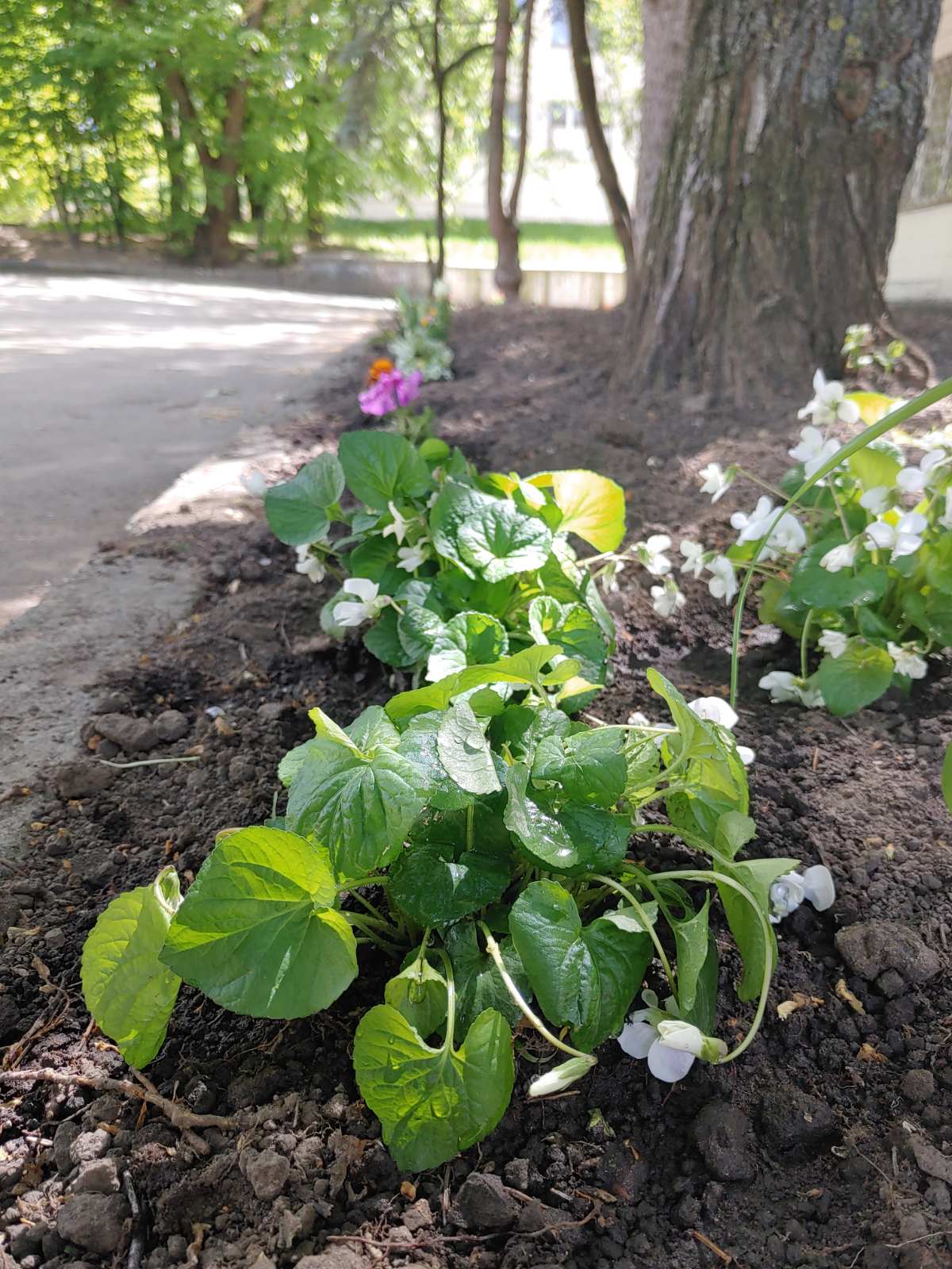 0 02 05 0dd486456c9208cd115ae16692e0fd972a385cf2266407a68d5cc670f61116b5 21eff5e3dd9