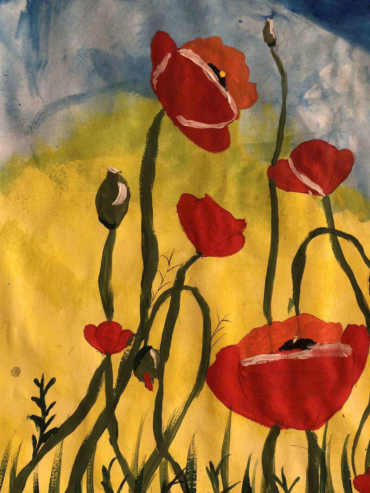 0 02 05 2f8c9dbfa758acd04503f789b4315c92b3b80a78aafdaf80f6031bfa0375ee9e 21f03c5e0de