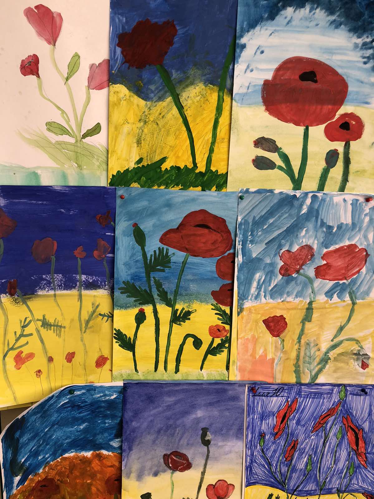 0 02 05 8b452842bdfdfc1520018634932322e5e891ae1d1e9ef888af598e72b1856432 21f03c5d98c