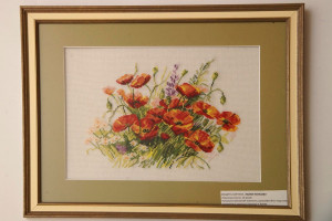 Маки польові